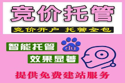 信息流广告投放策略：实战案例与效果评估